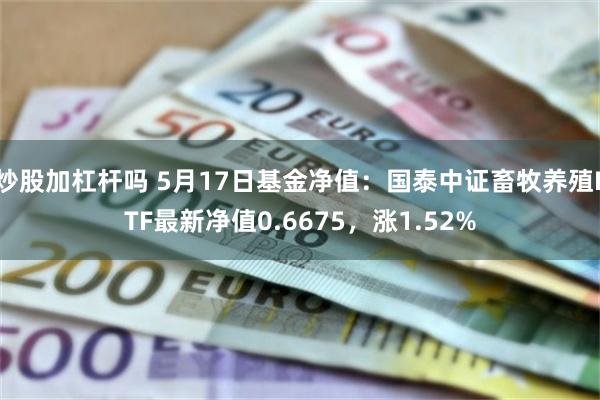 炒股加杠杆吗 5月17日基金净值：国泰中证畜牧养殖ETF最新净值0.6675，涨1.52%