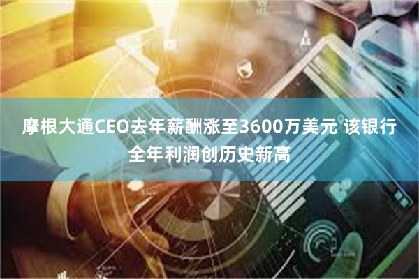 摩根大通CEO去年薪酬涨至3600万美元 该银行全年利润创历史新高