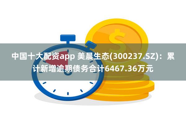 中国十大配资app 美晨生态(300237.SZ)：累计新增逾期债务合计6467.36万元