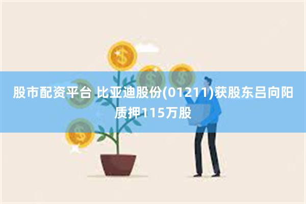 股市配资平台 比亚迪股份(01211)获股东吕向阳质押115万股