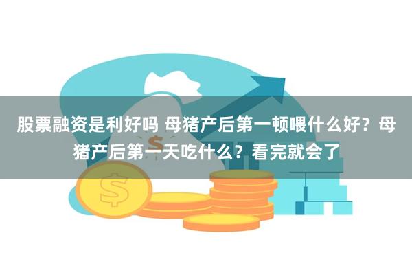 股票融资是利好吗 母猪产后第一顿喂什么好？母猪产后第一天吃什么？看完就会了