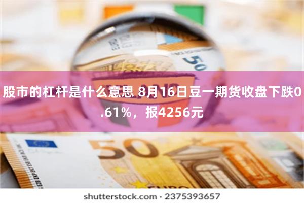 股市的杠杆是什么意思 8月16日豆一期货收盘下跌0.61%，报4256元