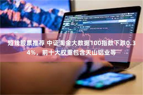 短线股票推荐 中证淘金大数据100指数下跌0.34%，前十大权重包含天山铝业等