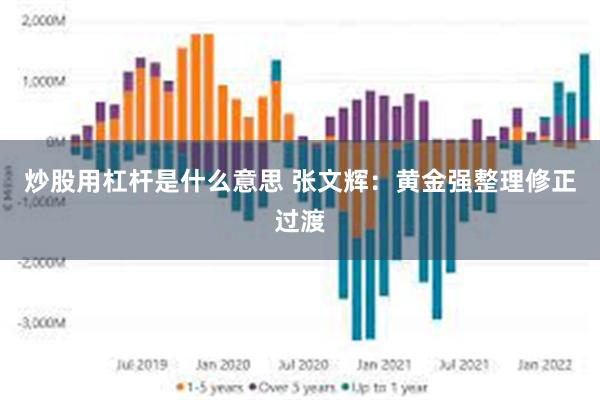 炒股用杠杆是什么意思 张文辉：黄金强整理修正过渡