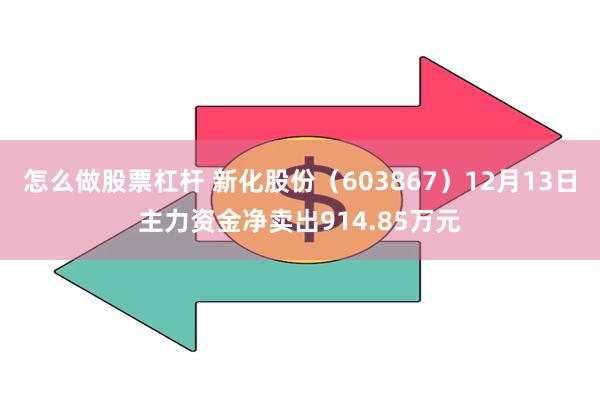 怎么做股票杠杆 新化股份（603867）12月13日主力资金净卖出914.85万元