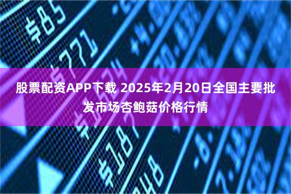 股票配资APP下载 2025年2月20日全国主要批发市场杏鲍菇价格行情